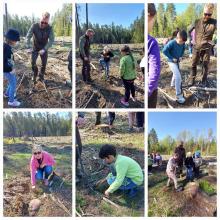 Uczniowie z SP nr 1 w Nidzicy zasadzili swój las